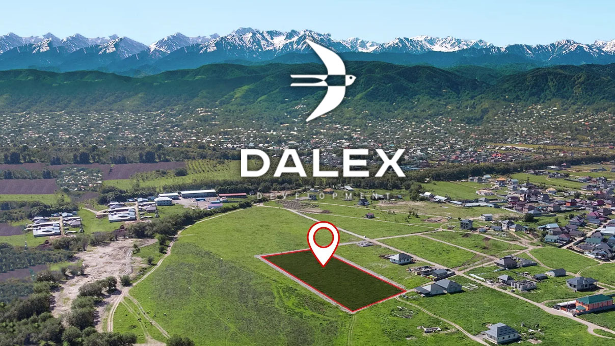 Dalex Development